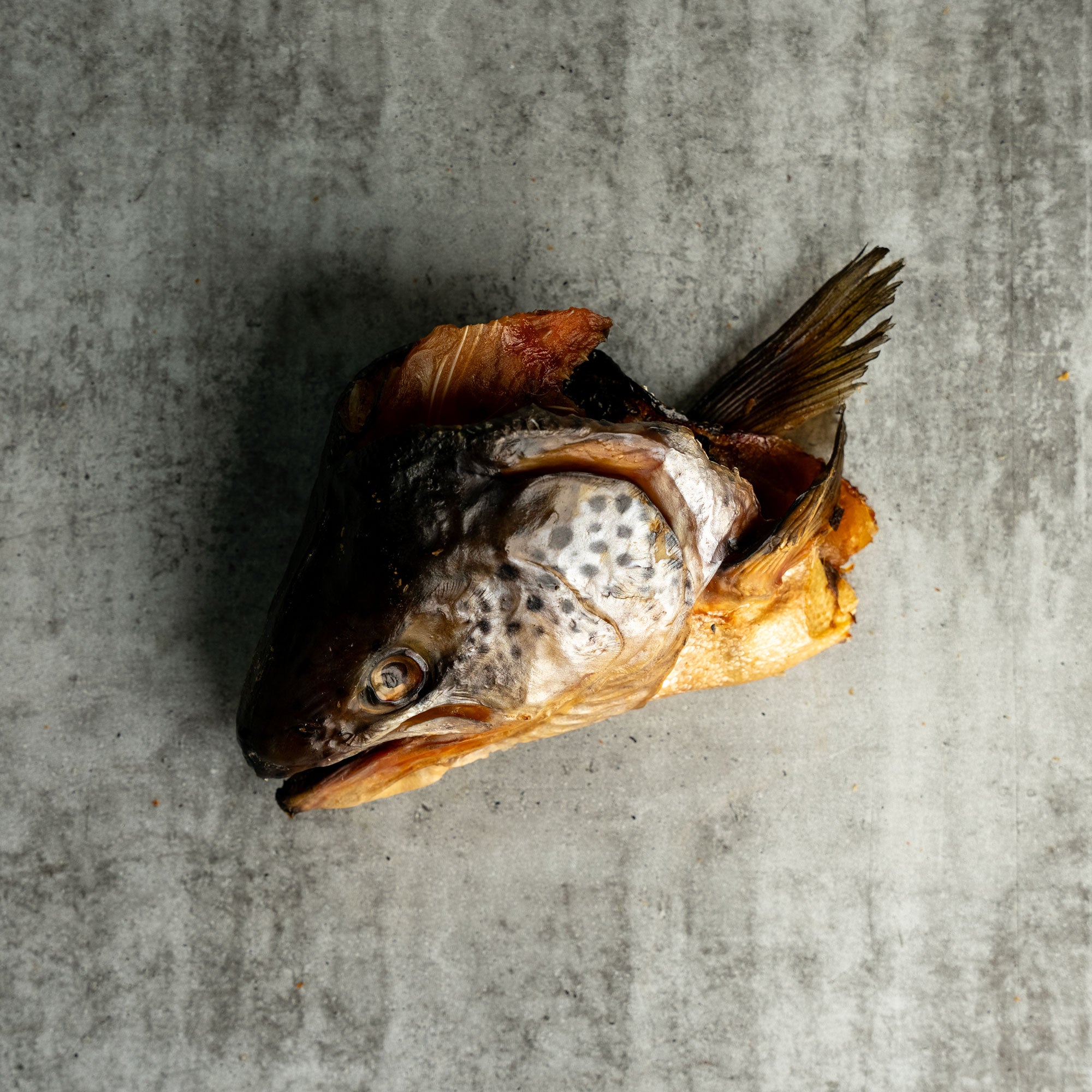 DEHYDRATED SALMON HEADS - 5KG - BULK - COMING SOON